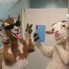avamarie2012